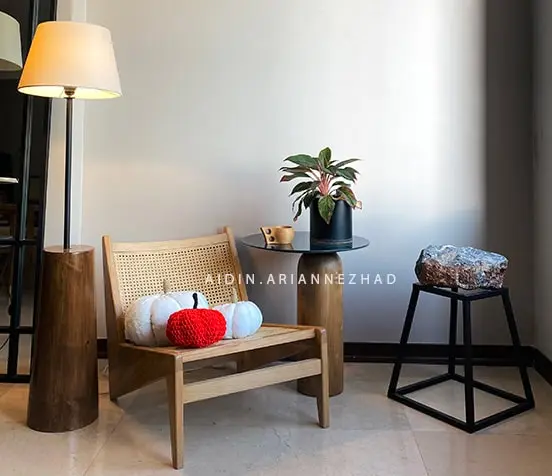 مبلمان مدرن و دکوراتیو آیدین آریان نژاد